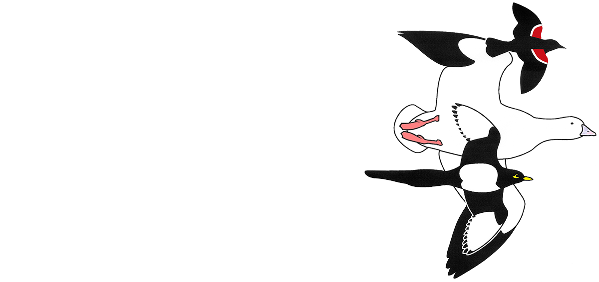 Central Valley Bird Club logo