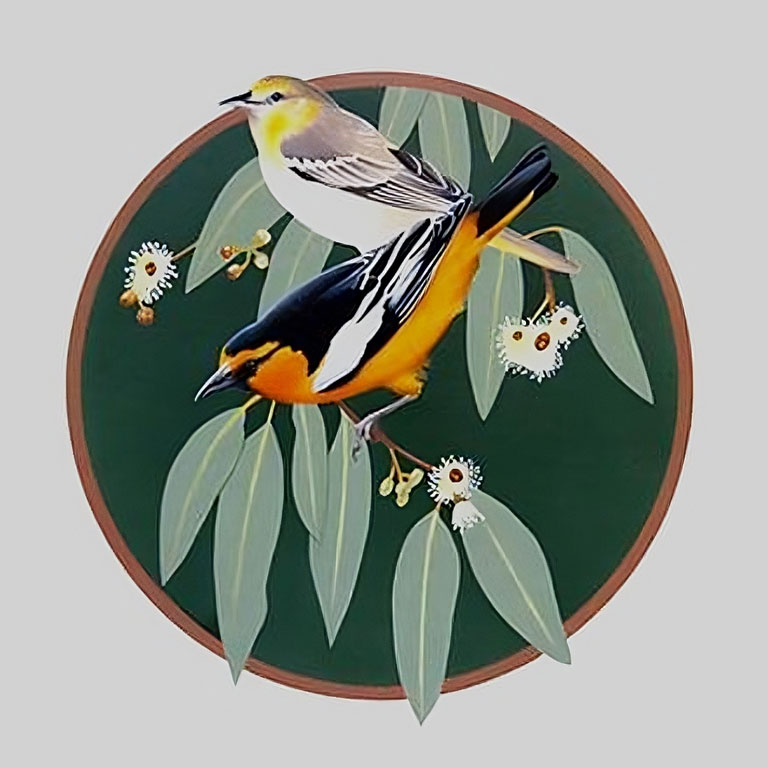 Central Valley Bird Symposium Poster 2015