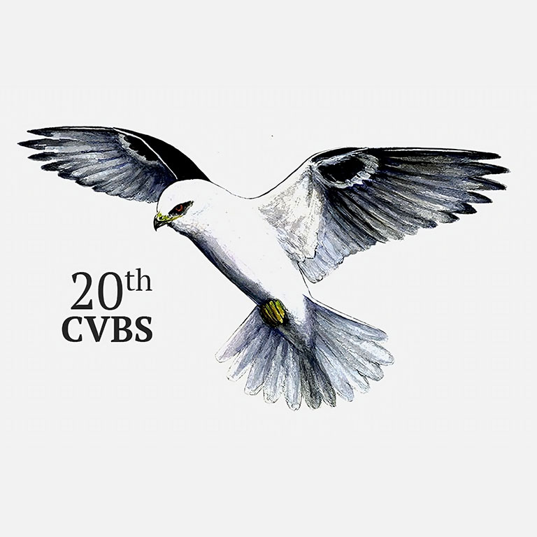 CVBS-2016