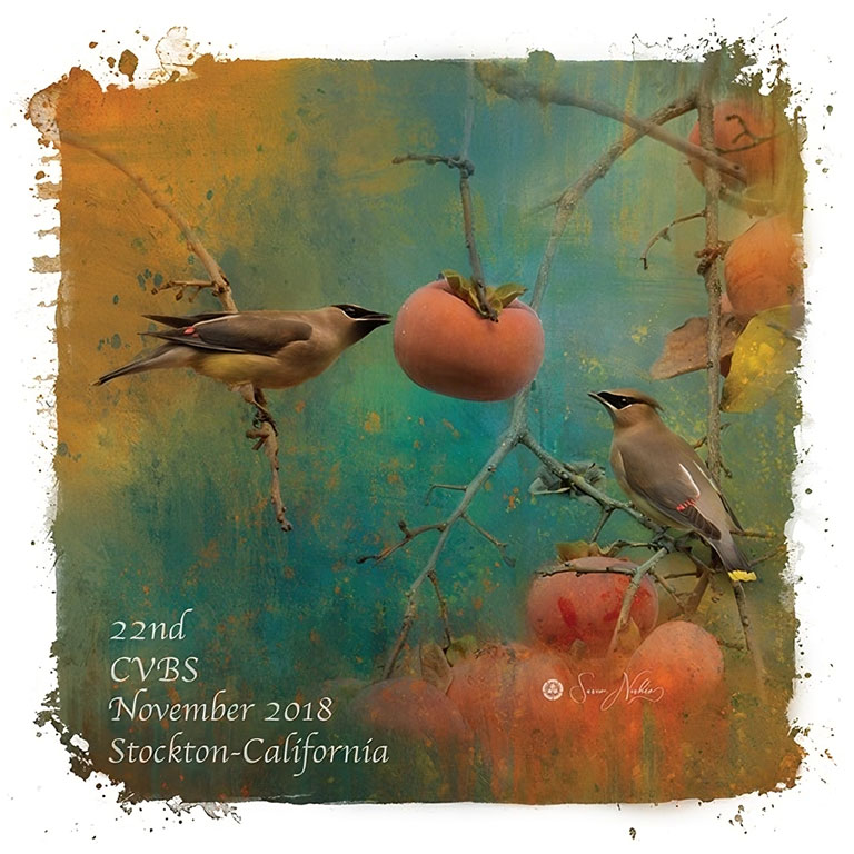 CVBS 2018