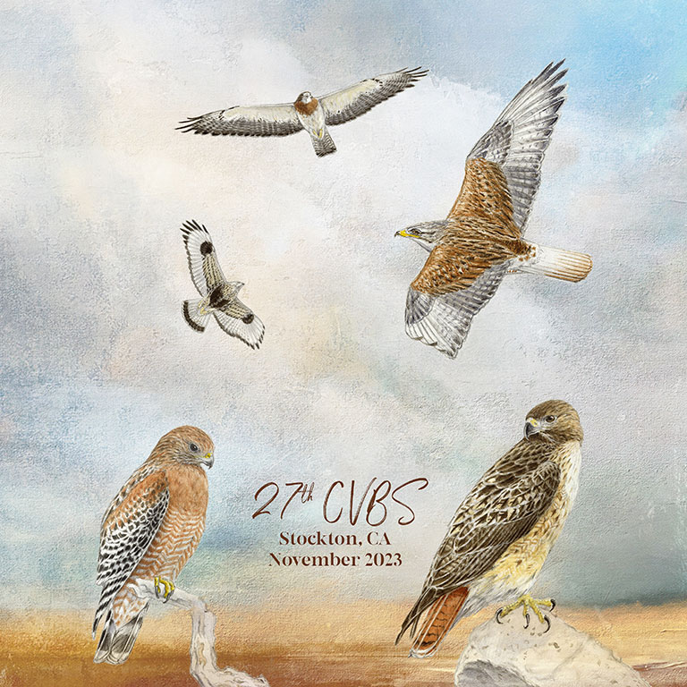 CVBS 2023