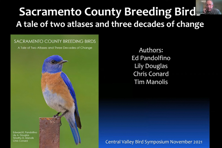Ed Pandolfino, "Sacramento County Breeding Birds"