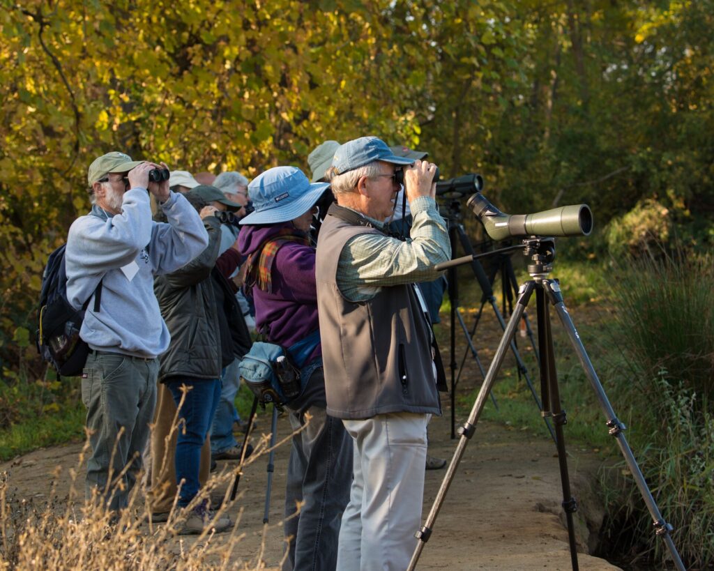 Ed co-lead the Lodi Lake field trip with John Sterling.