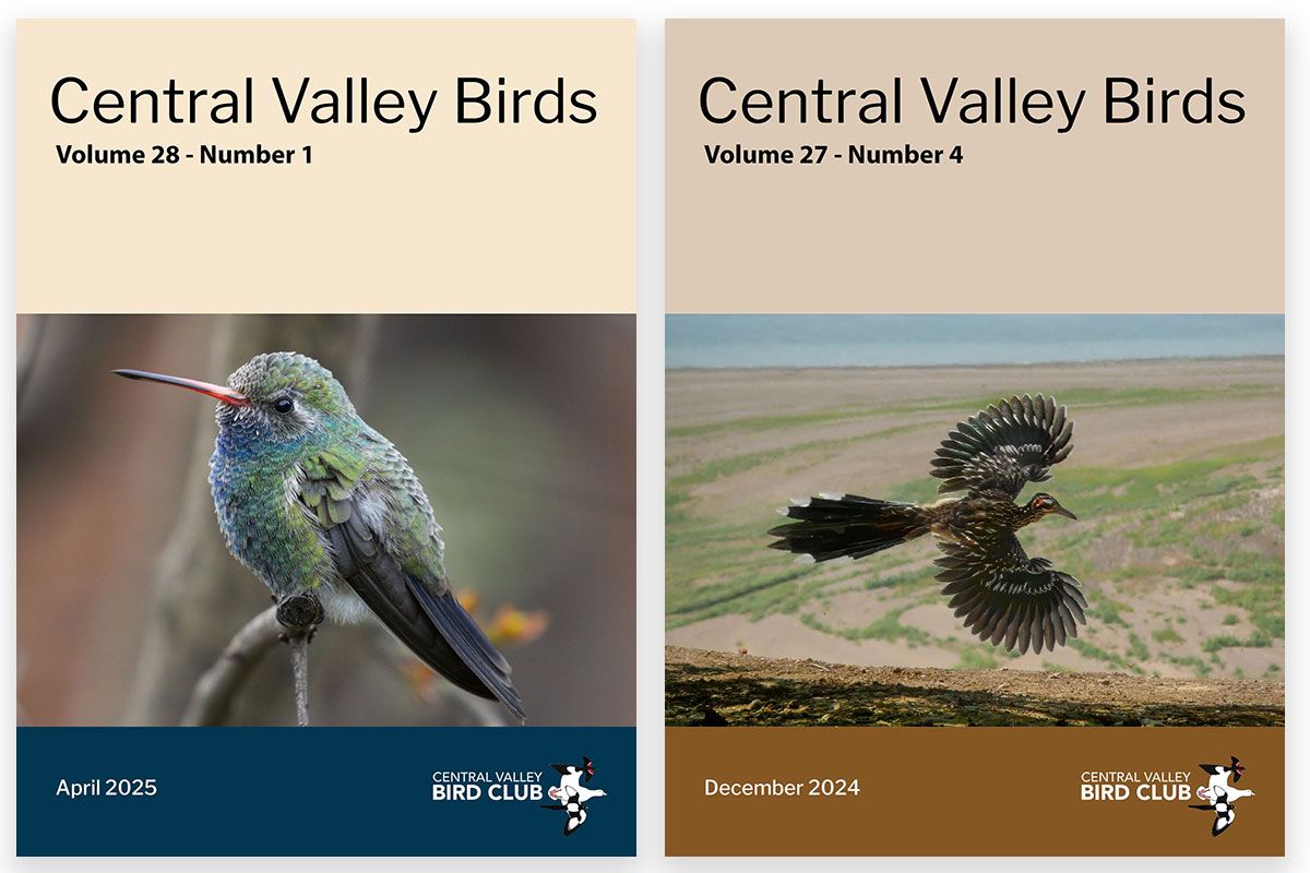 Our Central Valley Birds journal is now open access!