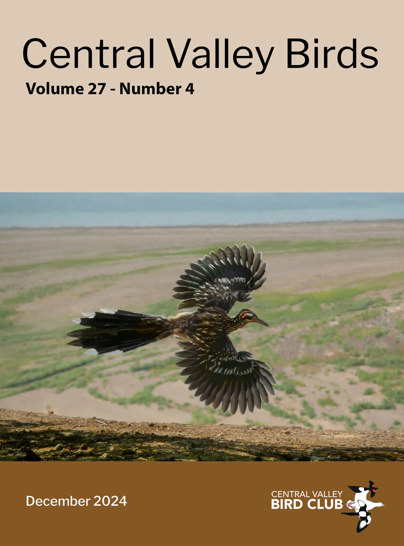 Central valley birds volume 27 number 4