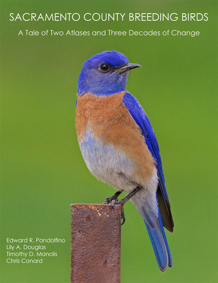sacramento-county-breeding-birds-cover Sacramento County Breeding Birds book cover