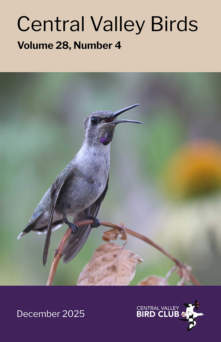 Central Valley Birds Volume 28 number 4 cover