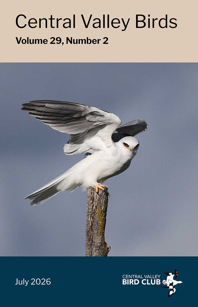 Central Valley Birds - Volume 26 Number 2
